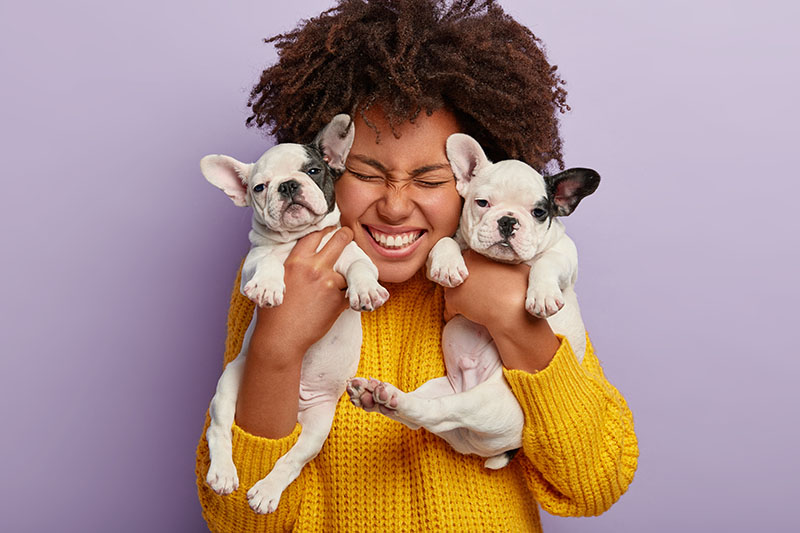 Pet Care